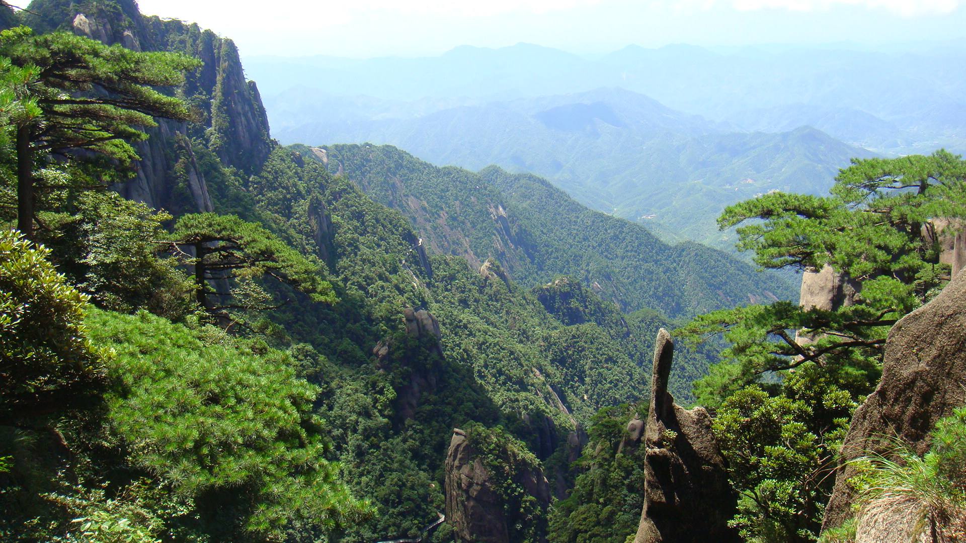 5A������Ҫʲô���ı�ʶ����